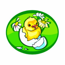 hatching chick daisies green oval photo cutout