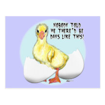 Hatching Egg2 Post Cards