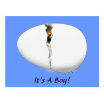 Hatching Egg Postcard