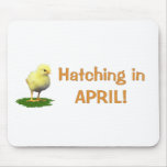Hatching in April! Maternity/Pregnant Due In April Mouse Pad