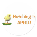 Hatching in April! Maternity/Pregnant Due In April Round Sticker