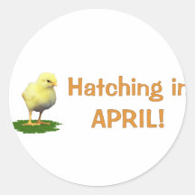 Hatching in April! Maternity/Pregnant Due In April Round Sticker