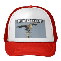 Haters Gonna Hate