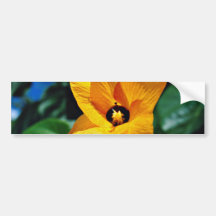 Hau Tree, Pacific Islands  flowers Bumper Stickers