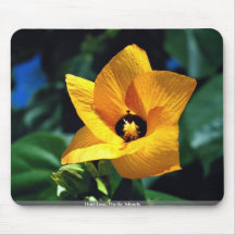 Hau Tree, Pacific Islands Mouse Pad