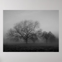 Haunting Fog Canvas Posters