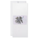 Haunting Image of a Hibiscus flower rack cards