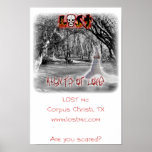 Haunts of Love Poster posters