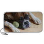 Haut-parleur de griffonnage de chien de boxeur