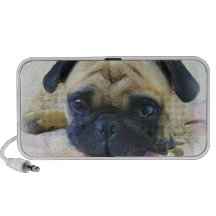 Haut-parleur de griffonnage de chien de carlin