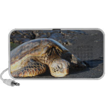 Haut-parleurs de tortue de mer