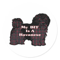Havanese BFF Sticker