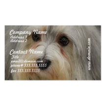 Havanese Business Cards