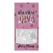 Havanese DIVA Custom Photo Card