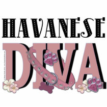 Havanese DIVA