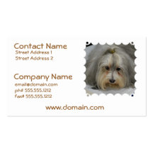Havanese Dog Breed Business Cards