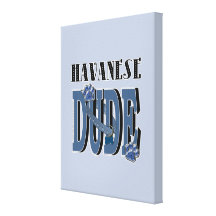Havanese DUDE Canvas Print