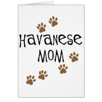 Havanese Mom