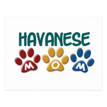 HAVANESE Mom Paw Print 1 Postcard