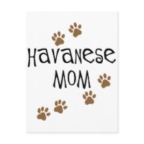 Havanese Mom