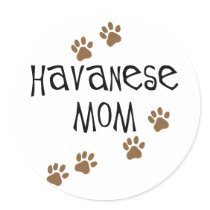 Havanese Mom