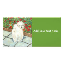 Havanese n Poppies Art Print Gifts & Cards Custom Photo Card