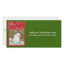 Havanese n Poppies Christmas Gifts and Cards Photo Card