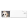 Havanese Puppy Bumper Stickers