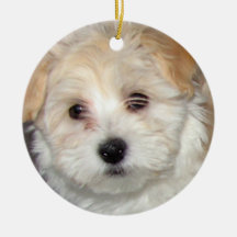 Havanese Puppy Ornament