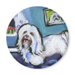 Havanese senses smiling moon magnet