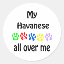 Havanese Walks Design Stickers