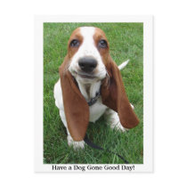 Have a Dog Gone Good Day! Postcard