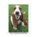 Have a Dog Gone Good Day! Postcard
