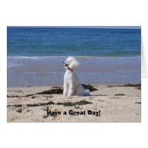 Have a Great Day! Greeting Card