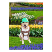 Have a Happy Birthday! Greeting Cards