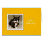 Have a Meow-velous Day! Greeting Card