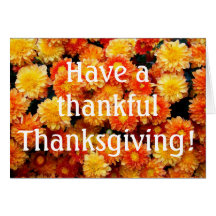 Have a thankful Thanksgiving! Greeting Card