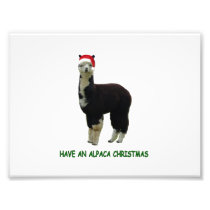 Have an alpaca Christmas Photographic Print