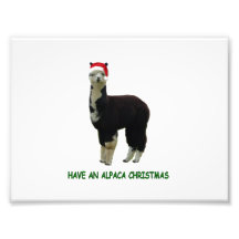 Have an alpaca Christmas Photographic Print