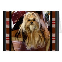 Have Doggie Will Travel Note Card