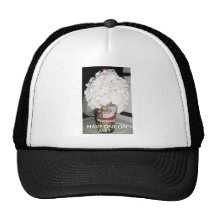 HAVE ONE ON ME! MESH HATS