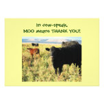 Have You Herd? Calves - Western Thanks Baby Gift Invitations