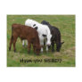 Have you HERD? Three Cows Postcard