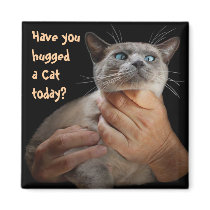 Have you hugged a Cat today?
