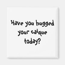 Have you hugged your caique today? refrigerator magnets