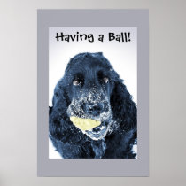Having a Ball! Print