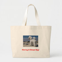 Having A Great Day! Bags