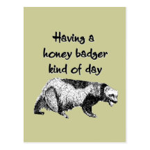 Having a honey badger kind of day postcard
