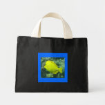 Hawaï Tang jaune - Lau'i Pala Sacs