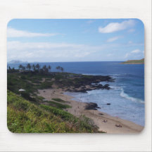 hawaii beach mouse mats